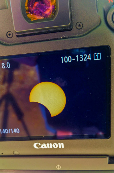 Image from the back of my 600mm camera setup.